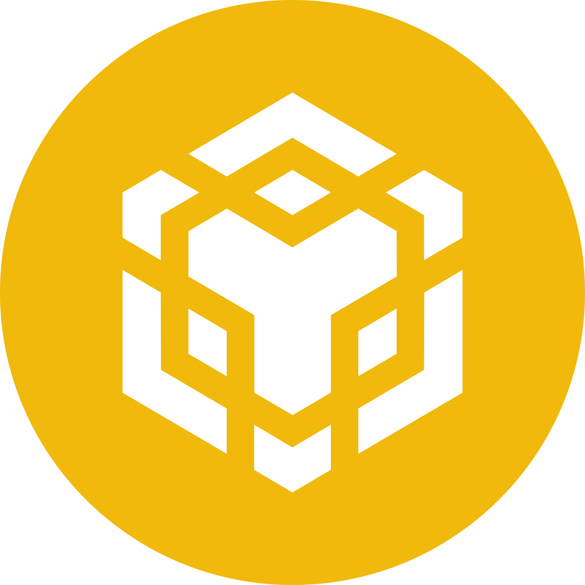 Binance Coin (BNB)